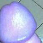 Francesco Profile Picture