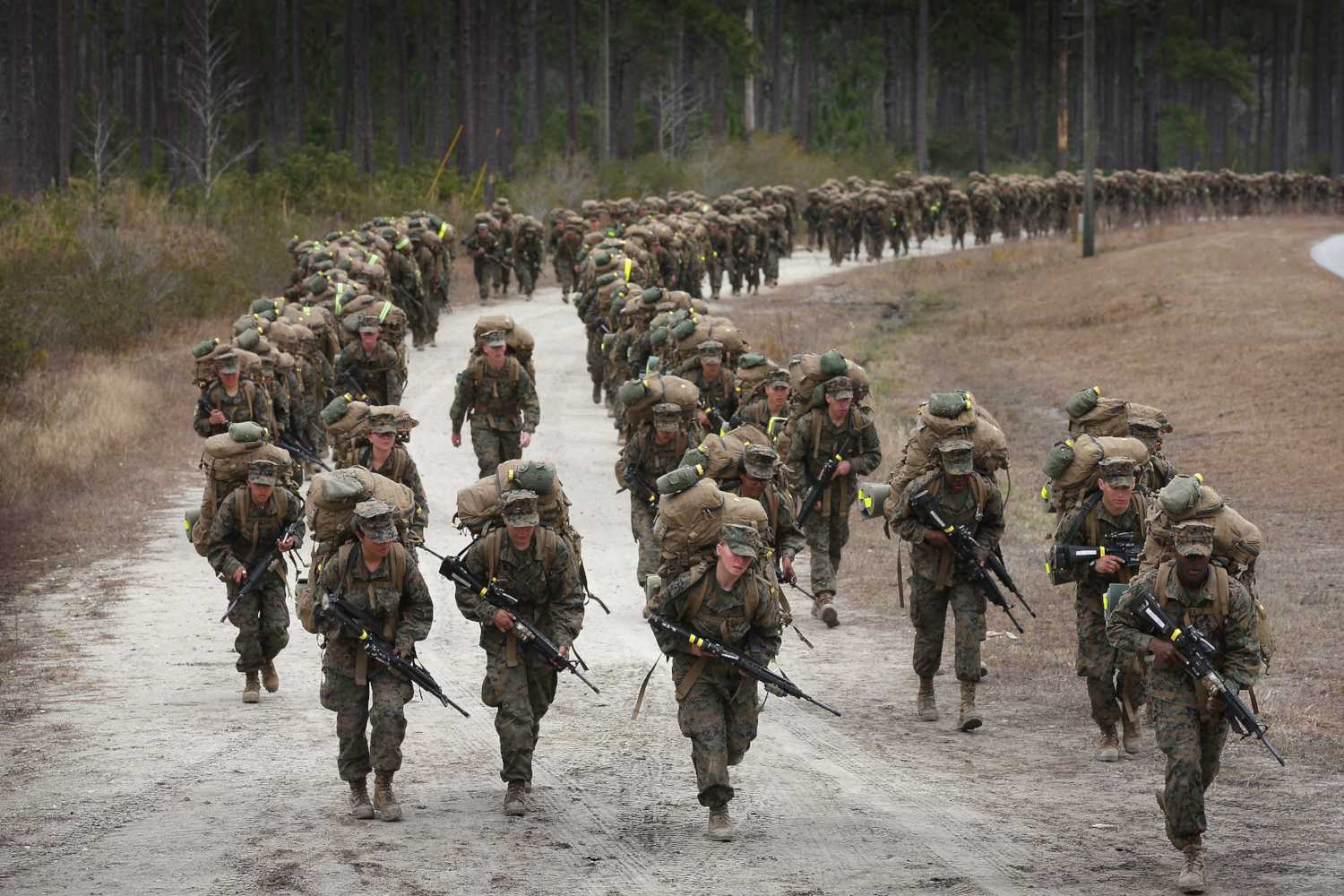 Immagine pubblicata da Marines