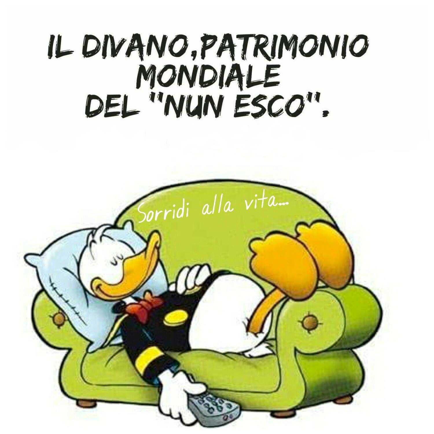 Immagine pubblicata da roberto