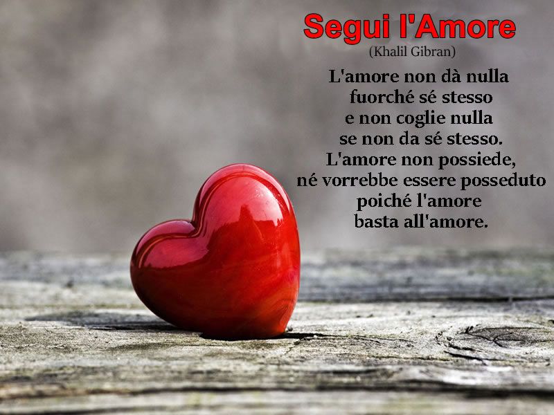 Immagine pubblicata da Marco Torres