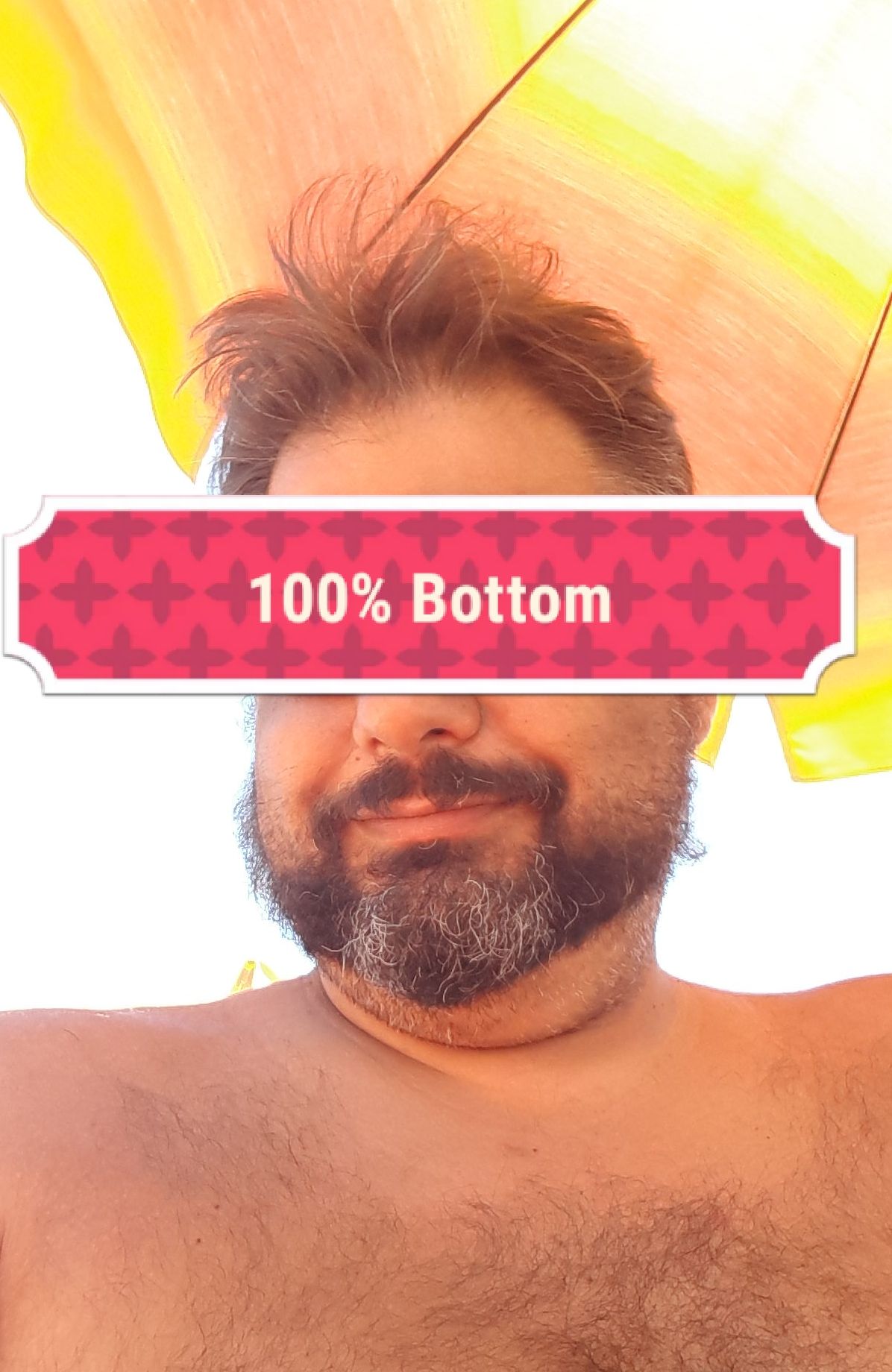 Immagine pubblicata da Orso Bear