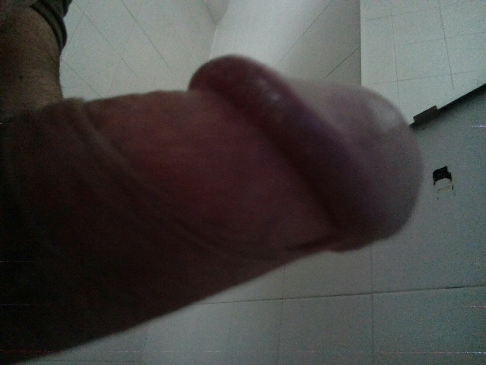 Immagine pubblicata da Francesco Reg