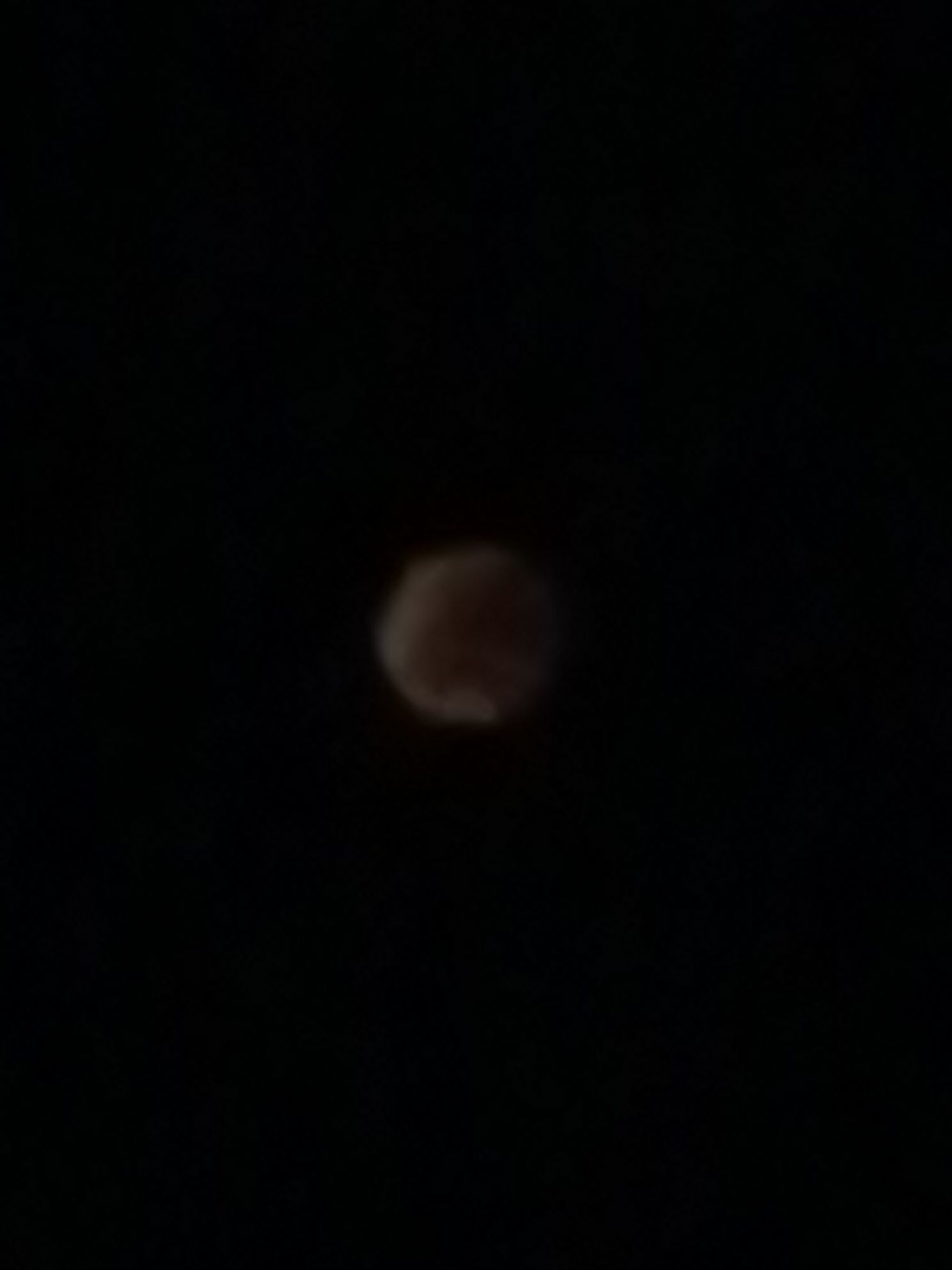 Immagine pubblicata da Giogione