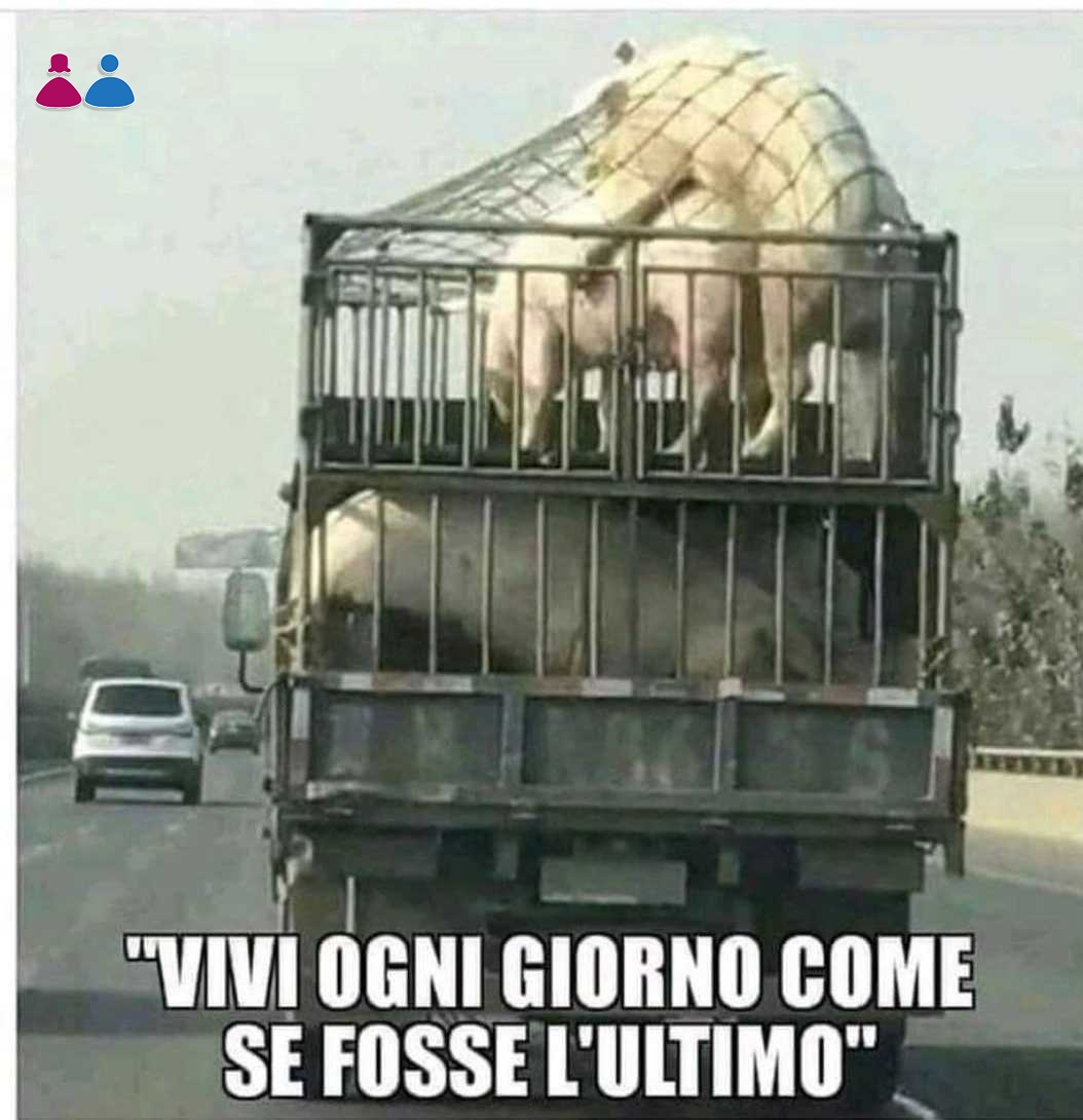 Immagine pubblicata da francesco