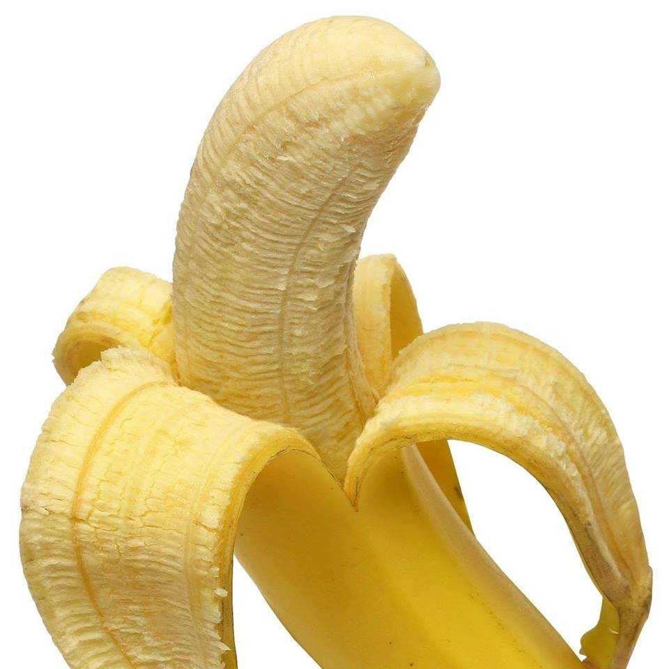 Immagine pubblicata da fishechips