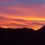 Luca Polvara Profile Picture