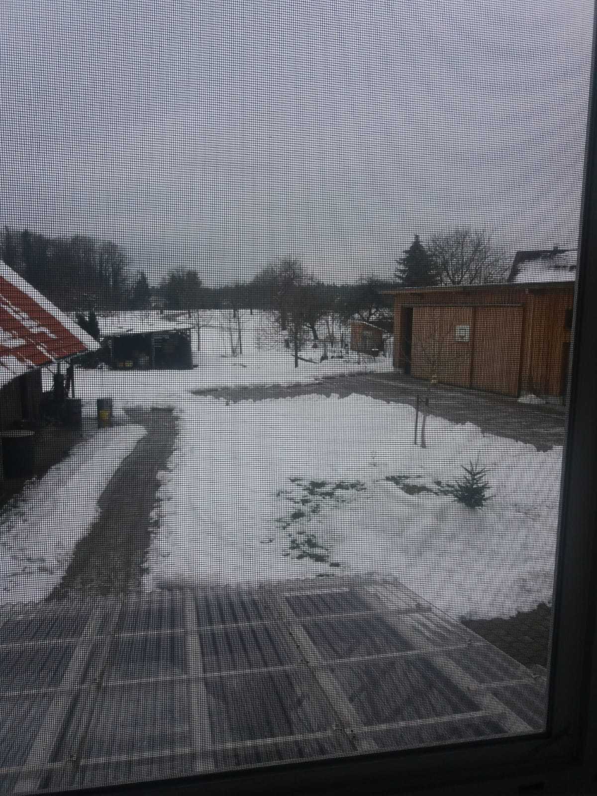 Immagine pubblicata da Bene Nero