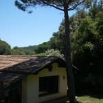 Alessandro Cetti Profile Picture