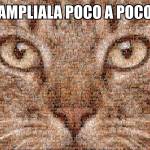 Antonio Furbetto Profile Picture
