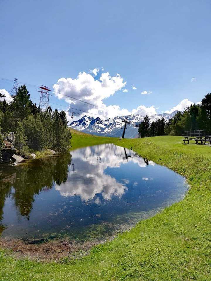 Immagine pubblicata da Natali
