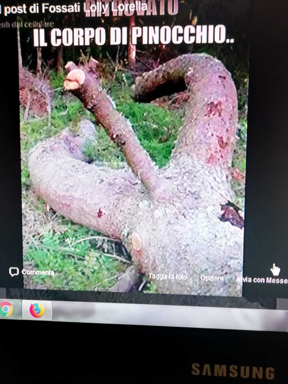 Immagine pubblicata da Leo Di leo