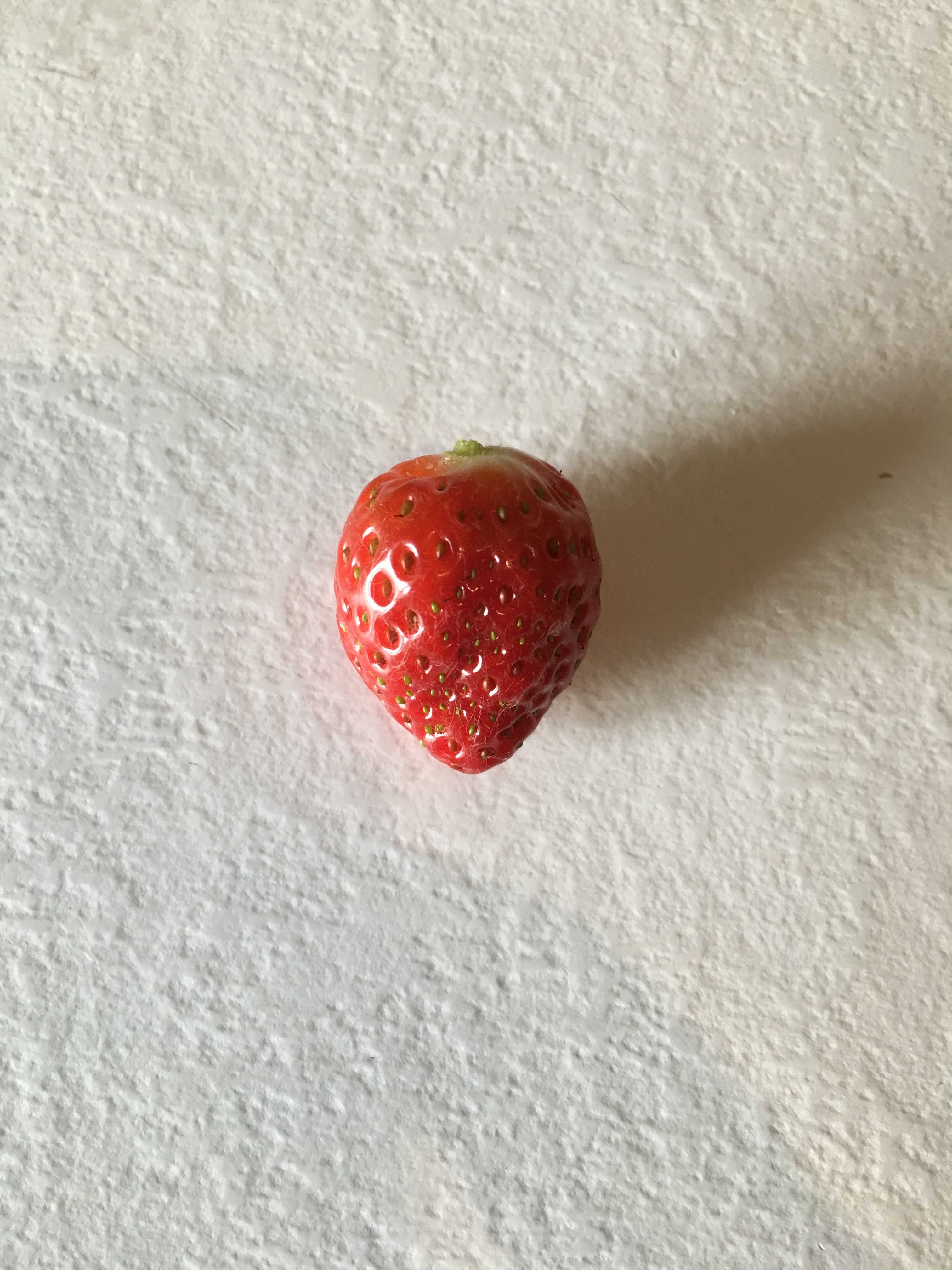 Immagine pubblicata da Capsicina Ossitocina