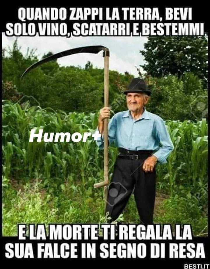 Immagine pubblicata da cris x