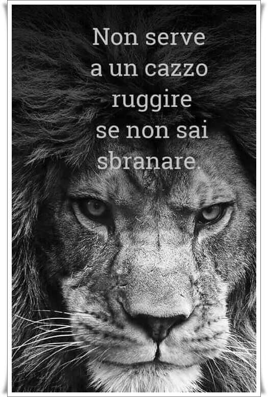 Immagine pubblicata da PARSIFAL