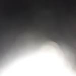 Fede31116 Profile Picture