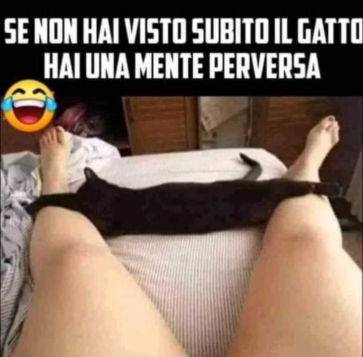 Immagine pubblicata da gill sanders