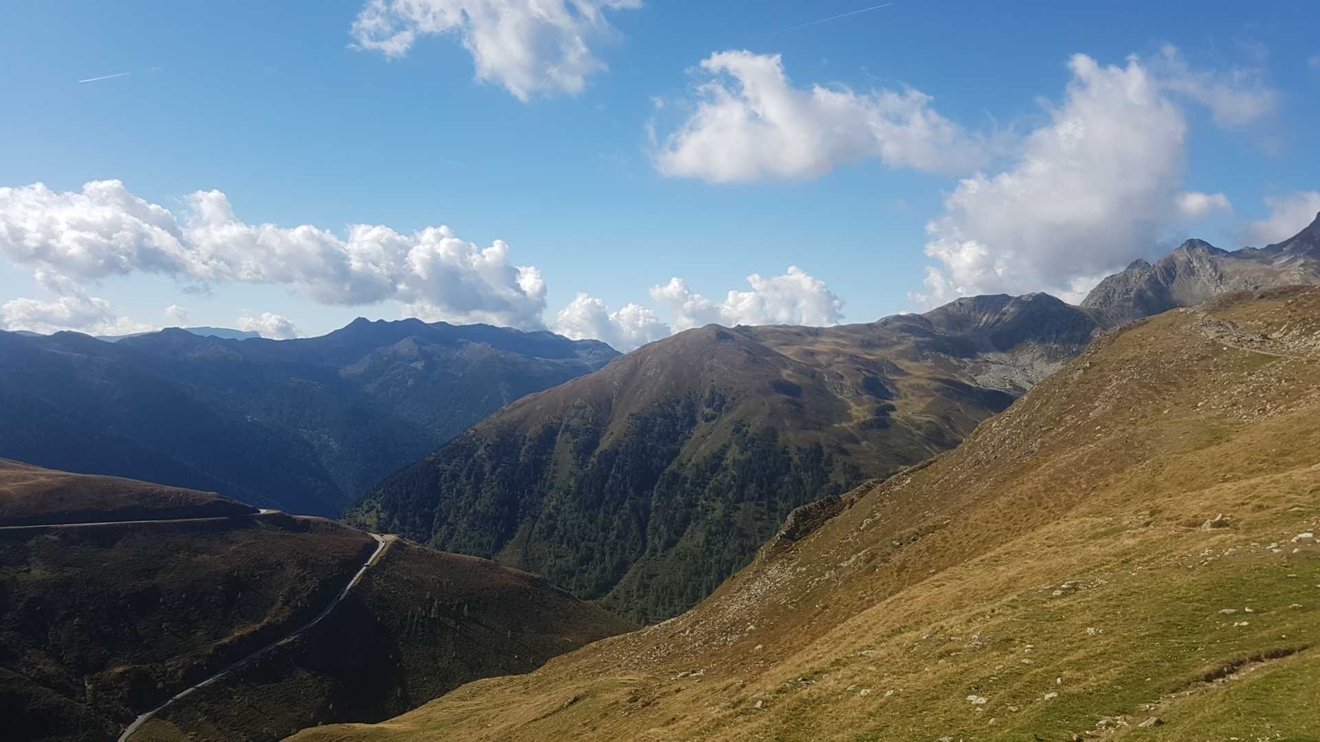 Immagine pubblicata da Albi