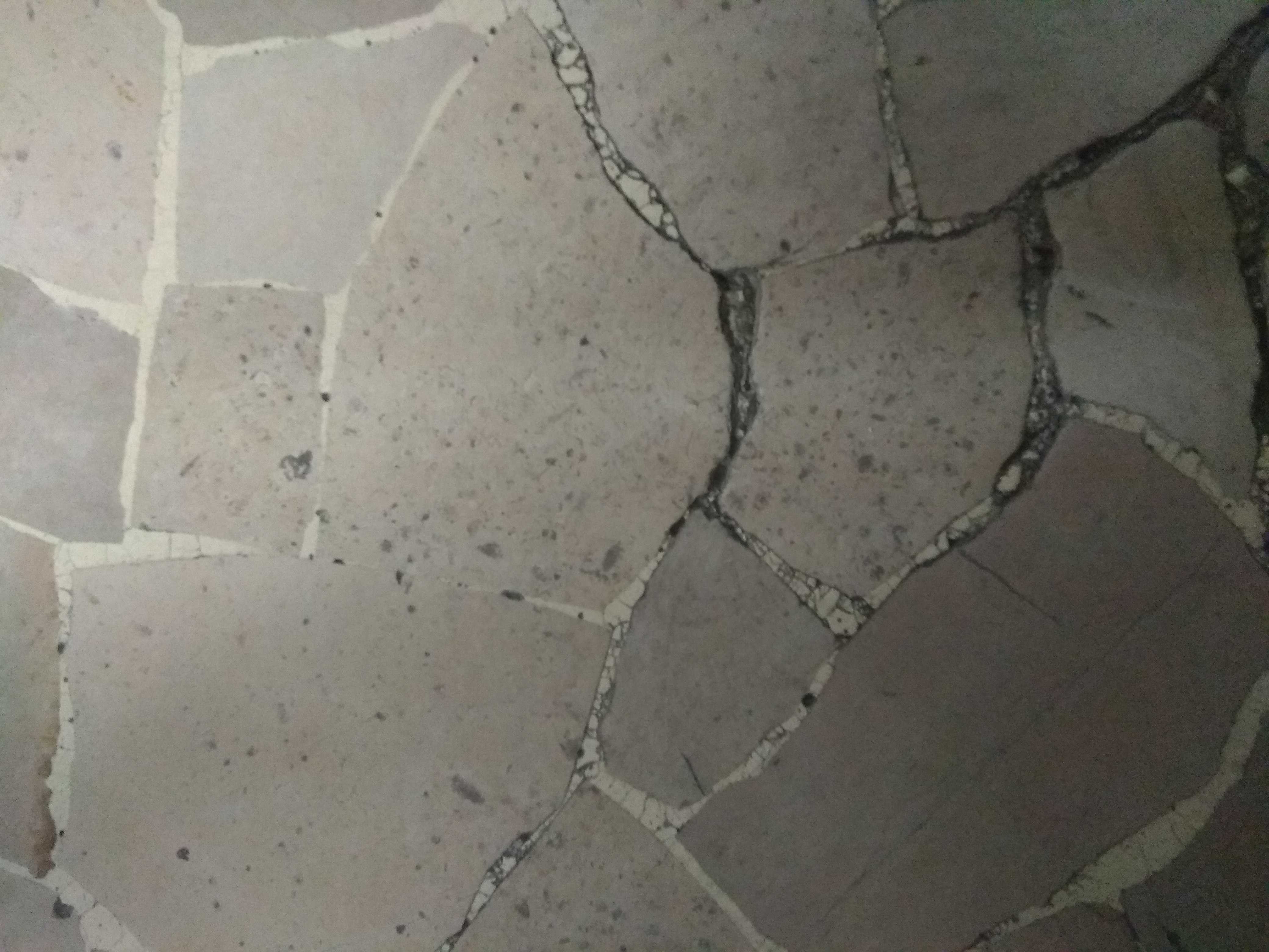 Immagine pubblicata da gillale72