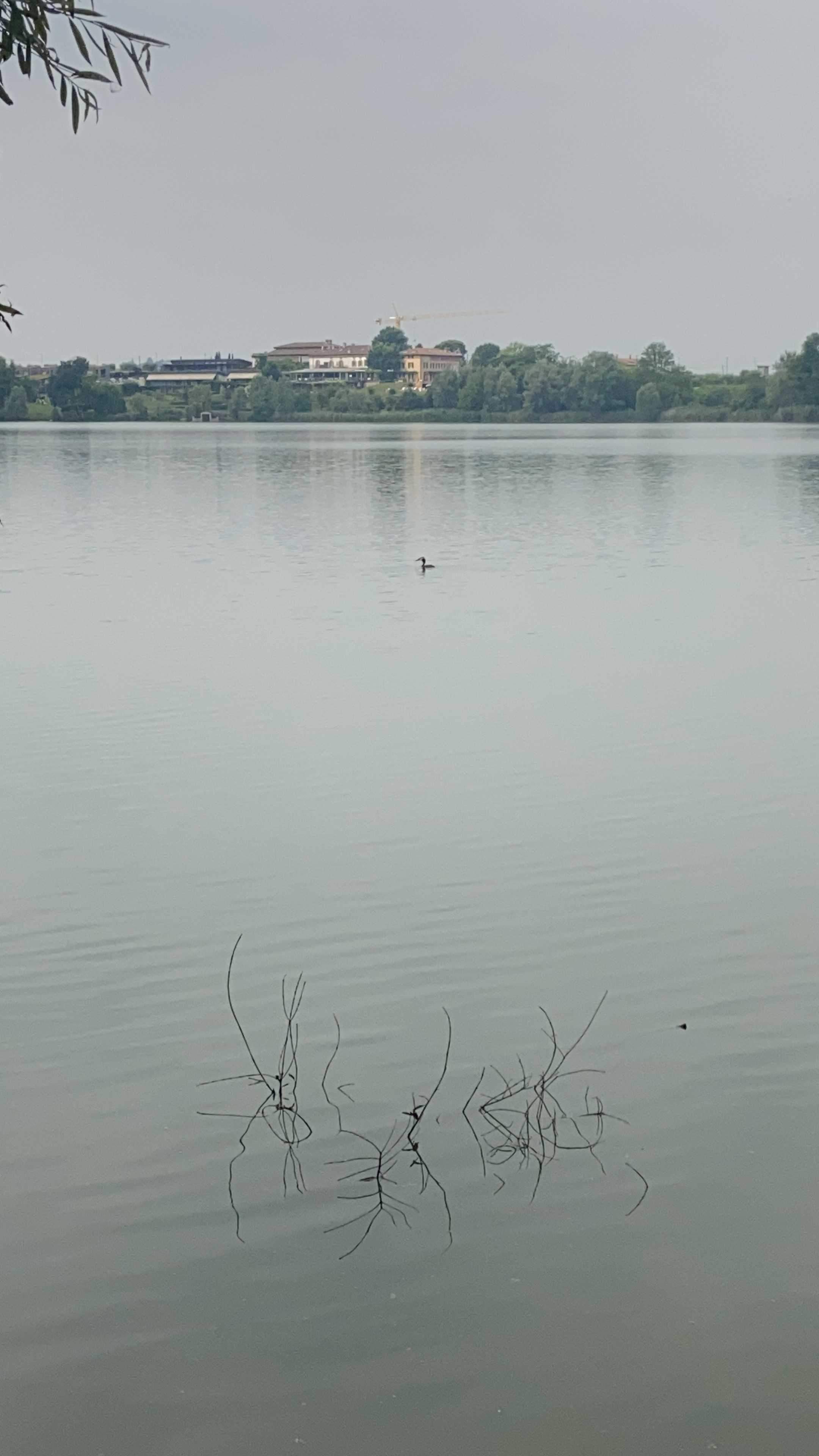 Immagine pubblicata da Ivan Borghi