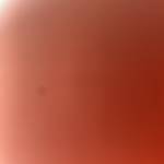 Marco Rossi Profile Picture