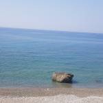 Morlo Morlone Profile Picture