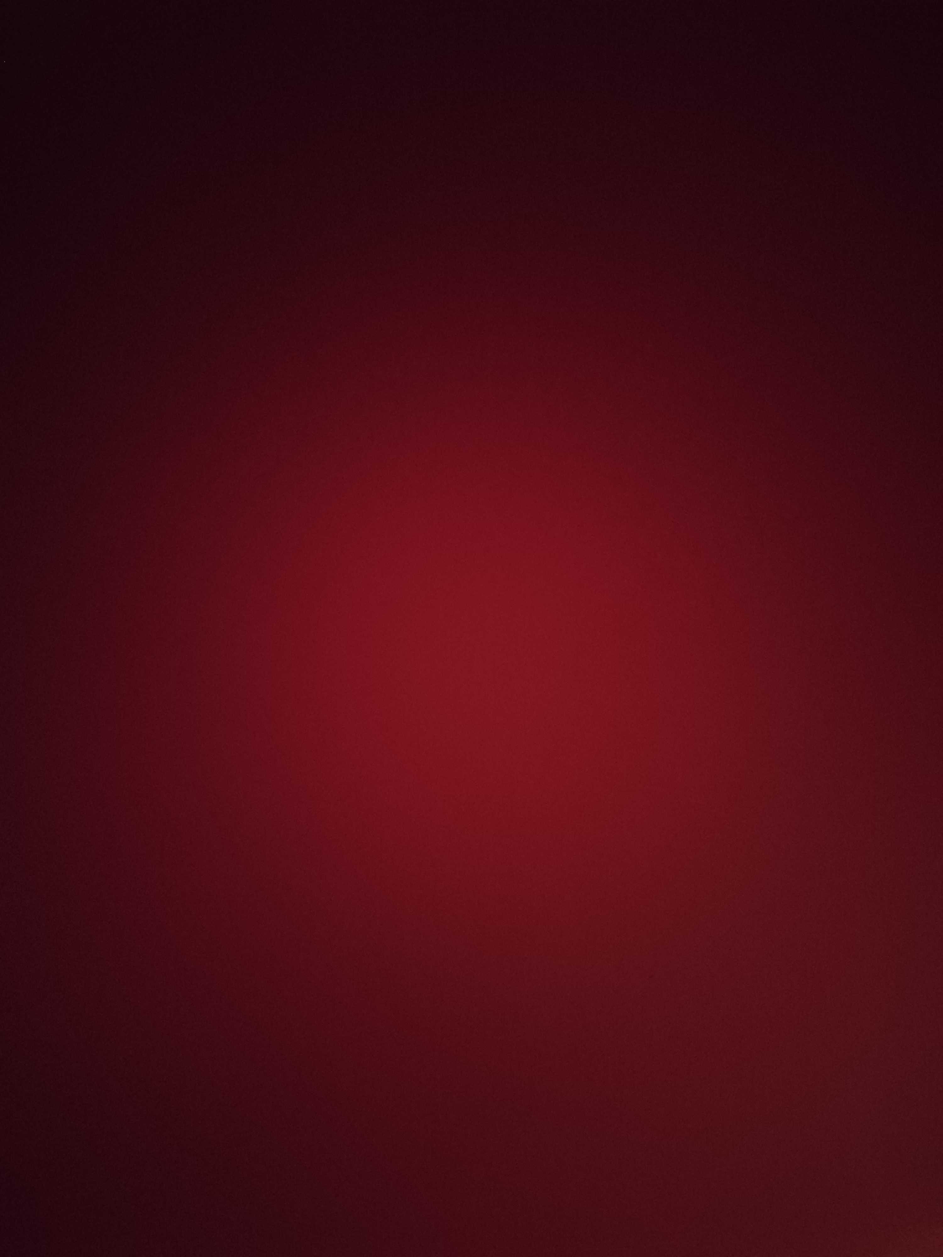 Immagine pubblicata da F