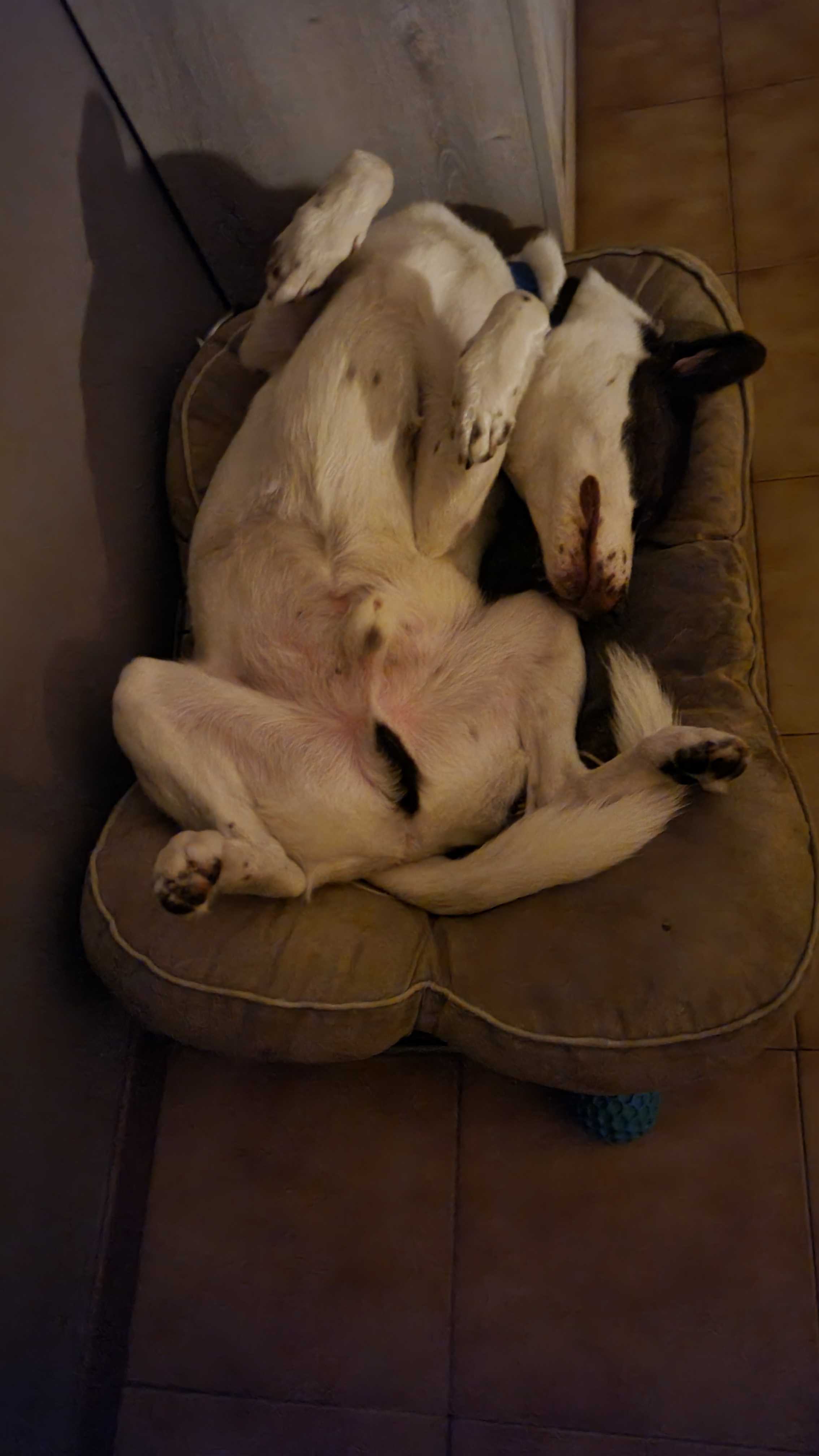 Immagine pubblicata da Leoo Poloni