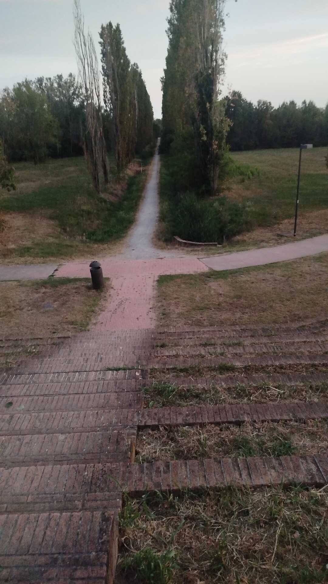 Immagine pubblicata da Salam Ali
