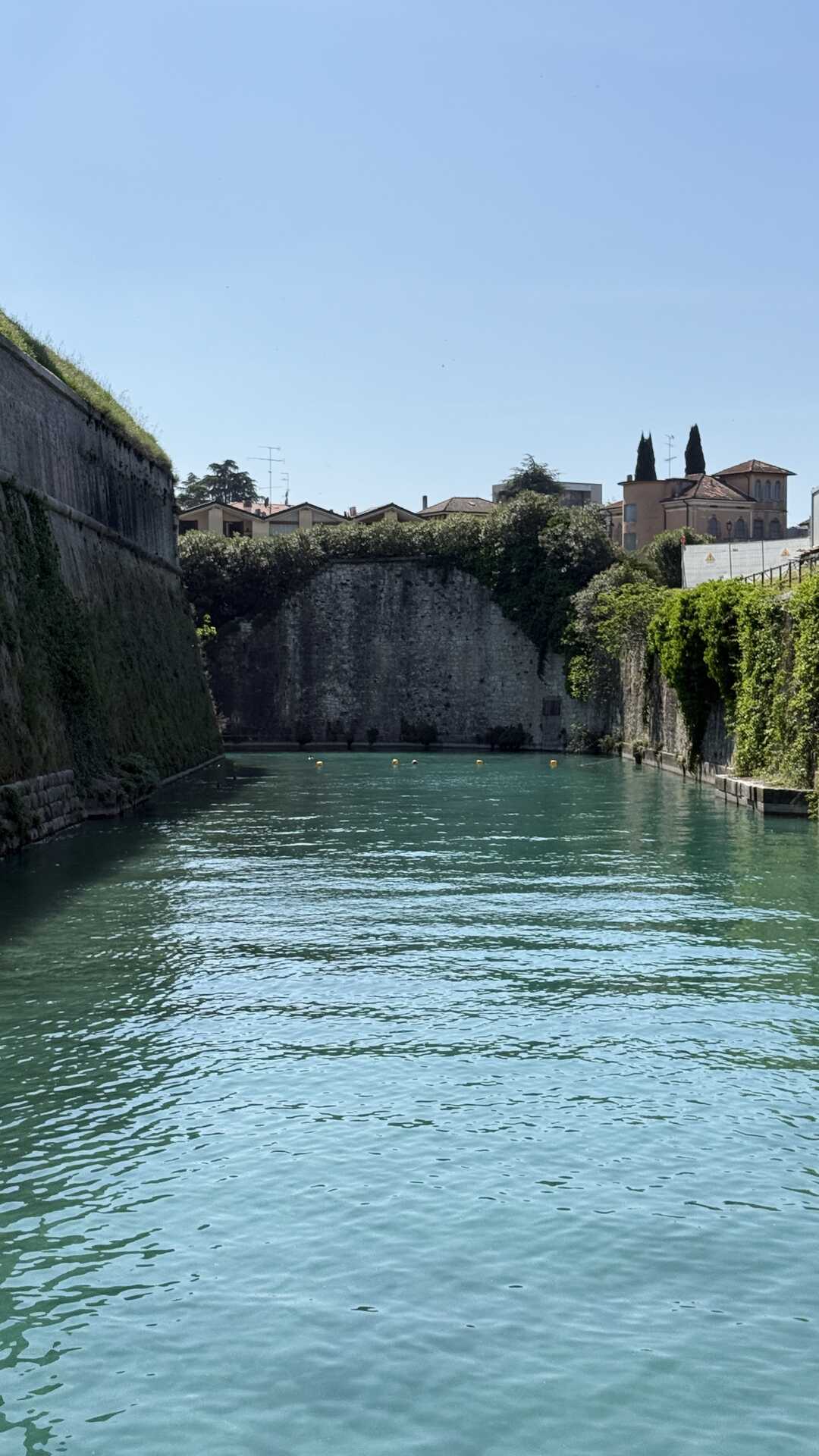 Immagine pubblicata da Tony Jeckson